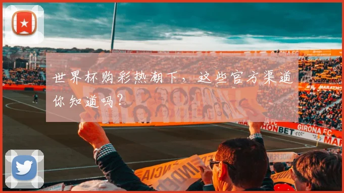 世界杯购彩热潮下,这些官方渠道你知道吗?