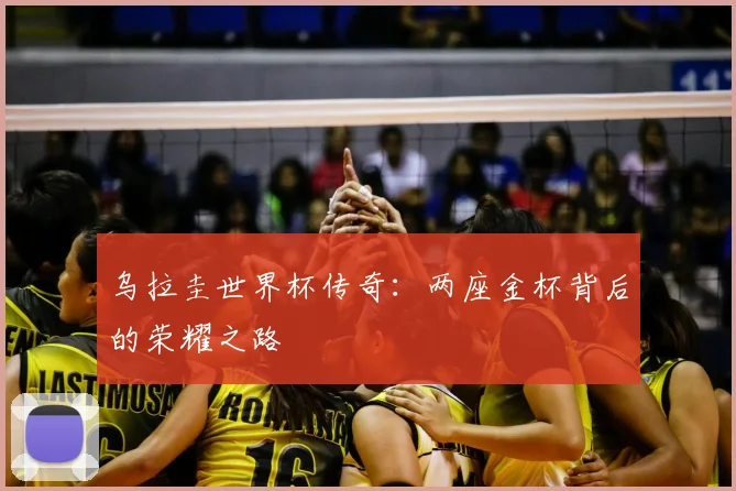 乌拉圭世界杯传奇:两座金杯背后的荣耀之路