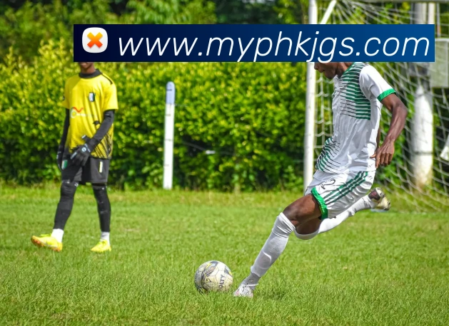 巅峰国际app官网注册平台生态图